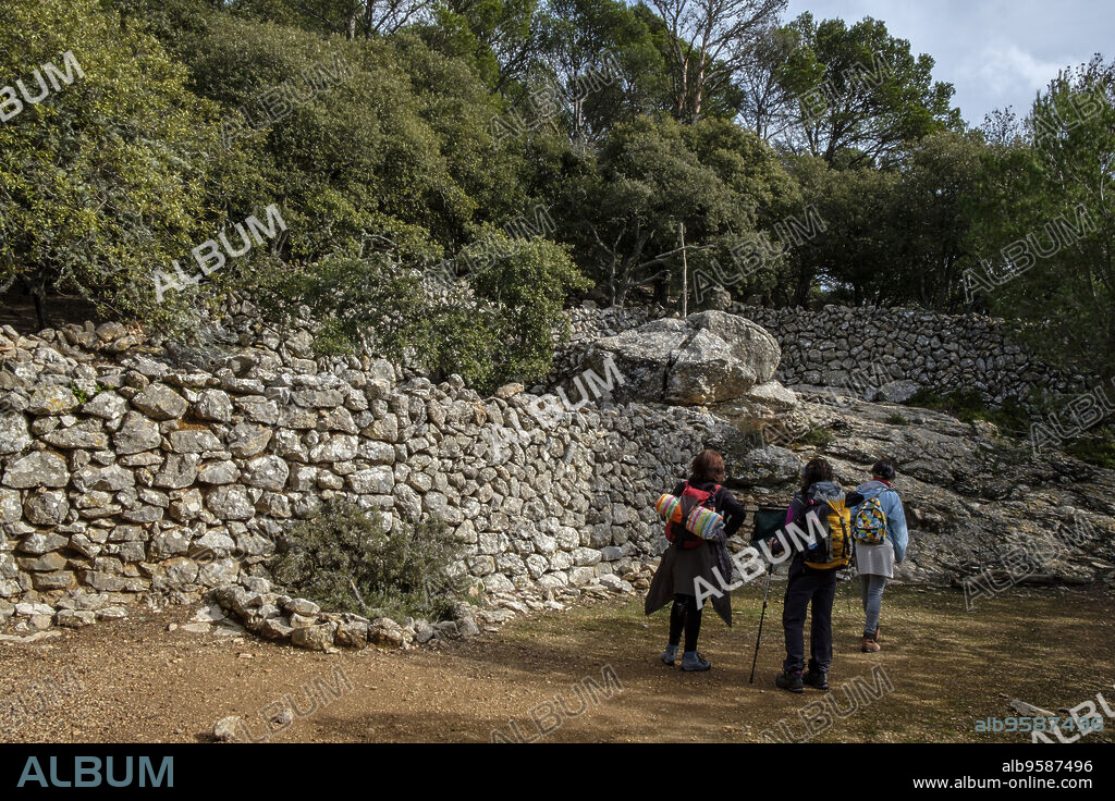 Camí de s'Arxiduc, Valldemossa, Paraje natural de la Serra de Tramuntana, Mallorca, balearic islands, Spain.