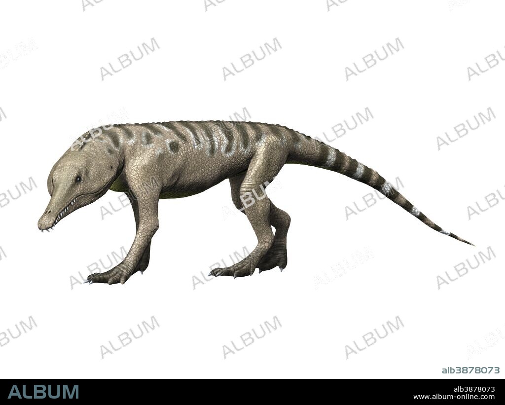 Chanaresuchus is an archosaur of the Triassic period.