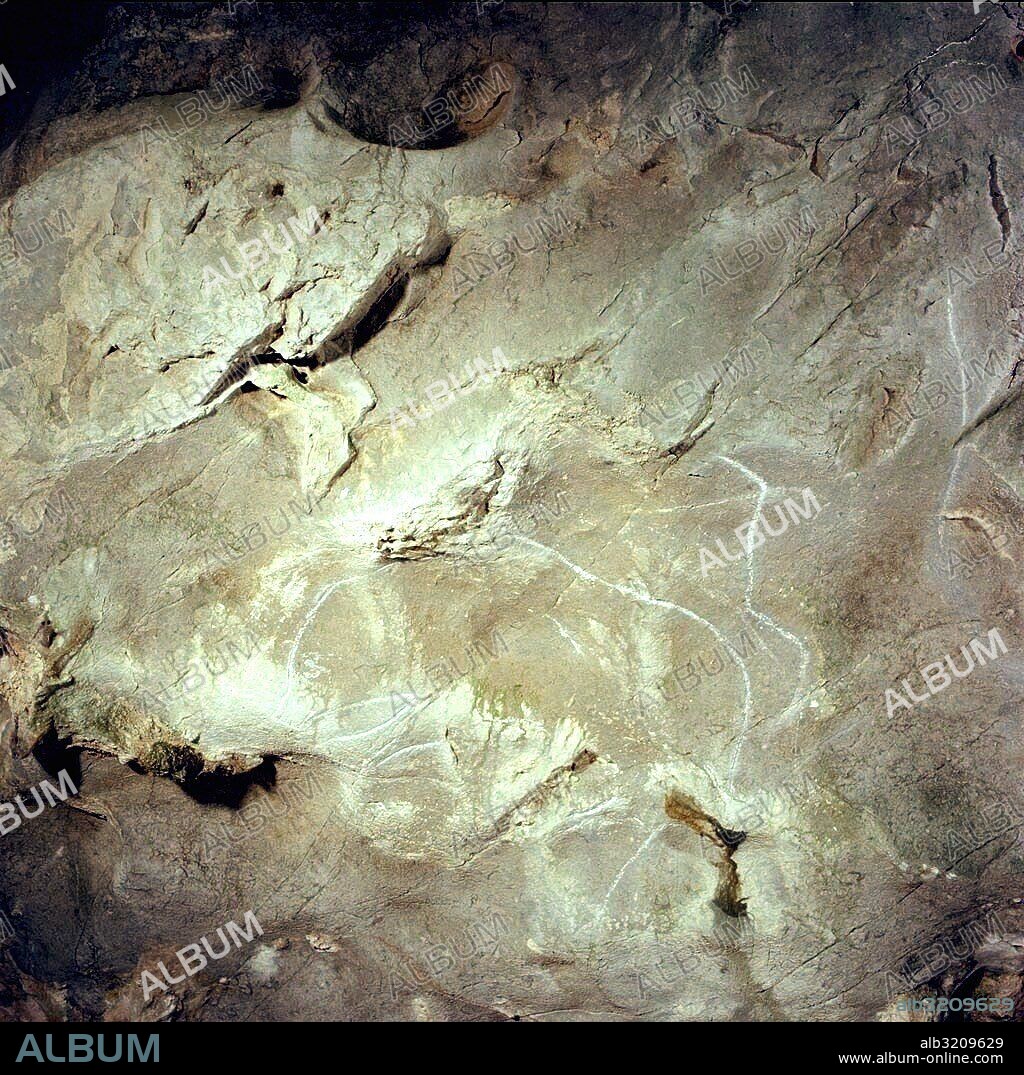 CUEVA DE VENTALAPERRA  (511). OSO.  VIZCAYA, PAIS VASCO, ESPAÑA.