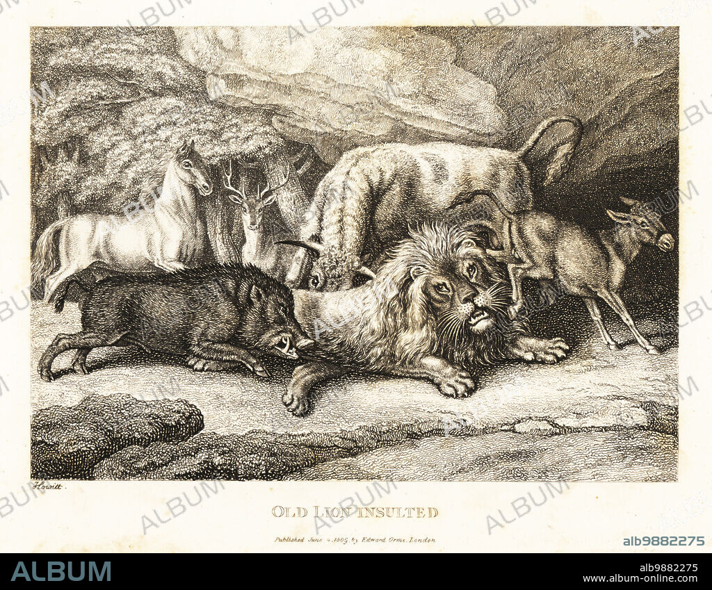 A weak and dying lion is attacked on all sides. A donkey kicks him in the face, a boar and a cow gore him. A horse and stag watch. Old lion insulted. Illustration of a fable by Greek author Aesop. Copperplate etching drawn and engraved from life by Samuel Howitt from his own A New Work of Animals, Principally Designed from the Fables of Aesop, Gay and Phaedrus, Edward Orme, London, 1811.
