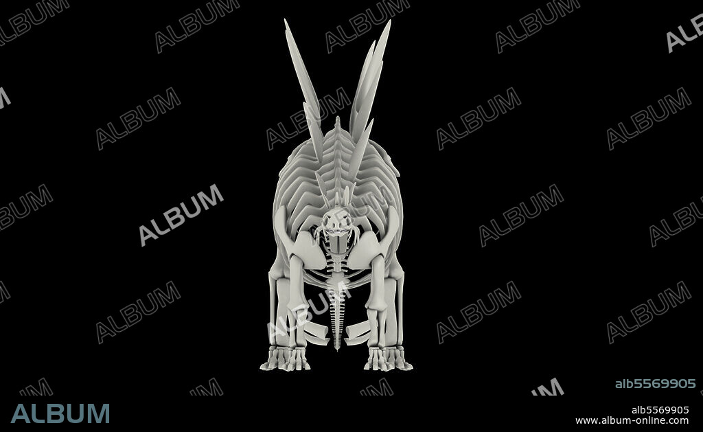 Skeletal system of Stegosaurus, front view.