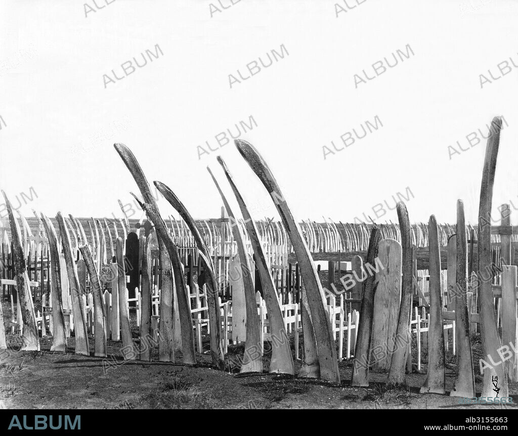 Alaska:  c. 1920 A whale bone fence around the local native burial ground.