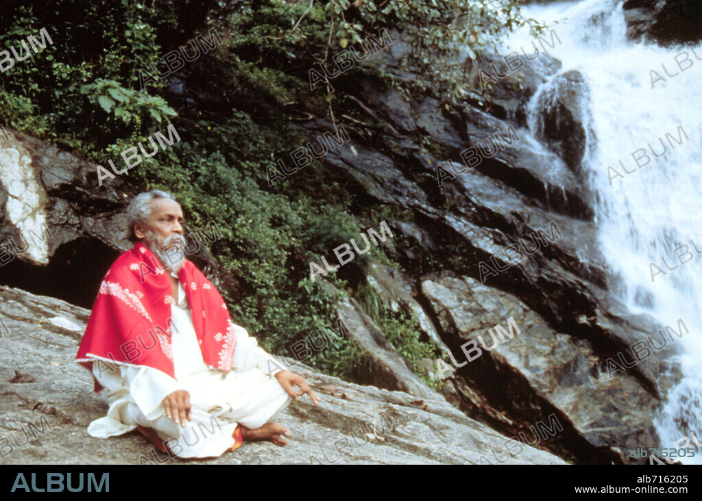 AYURVEDA: EL ARTE DE VIVIR, 2001 (AYURVEDA: ART OF BEING), dirigida por PAN NALIN. Copyright PANDORA FILM PRODUKTION.