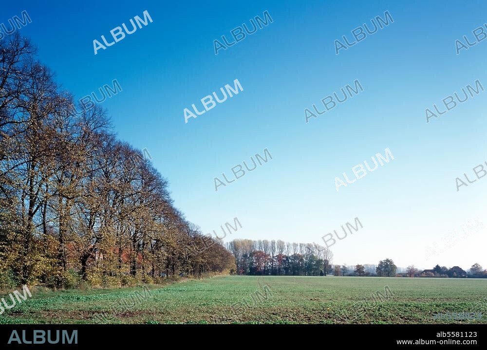 Meerbusch-Büderich, Haus Meer, Landschaft südlich des Gutshofs © Florian Monheim Filmsize: 6 × 9 cm.