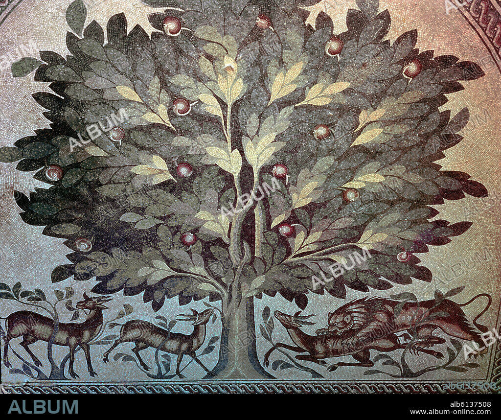PAVIMENTO DE LA SALA DEL TRONO - ARBOL FRUTAL - MOSAICO DE ARTE OMEYA - SIGLO VIII.