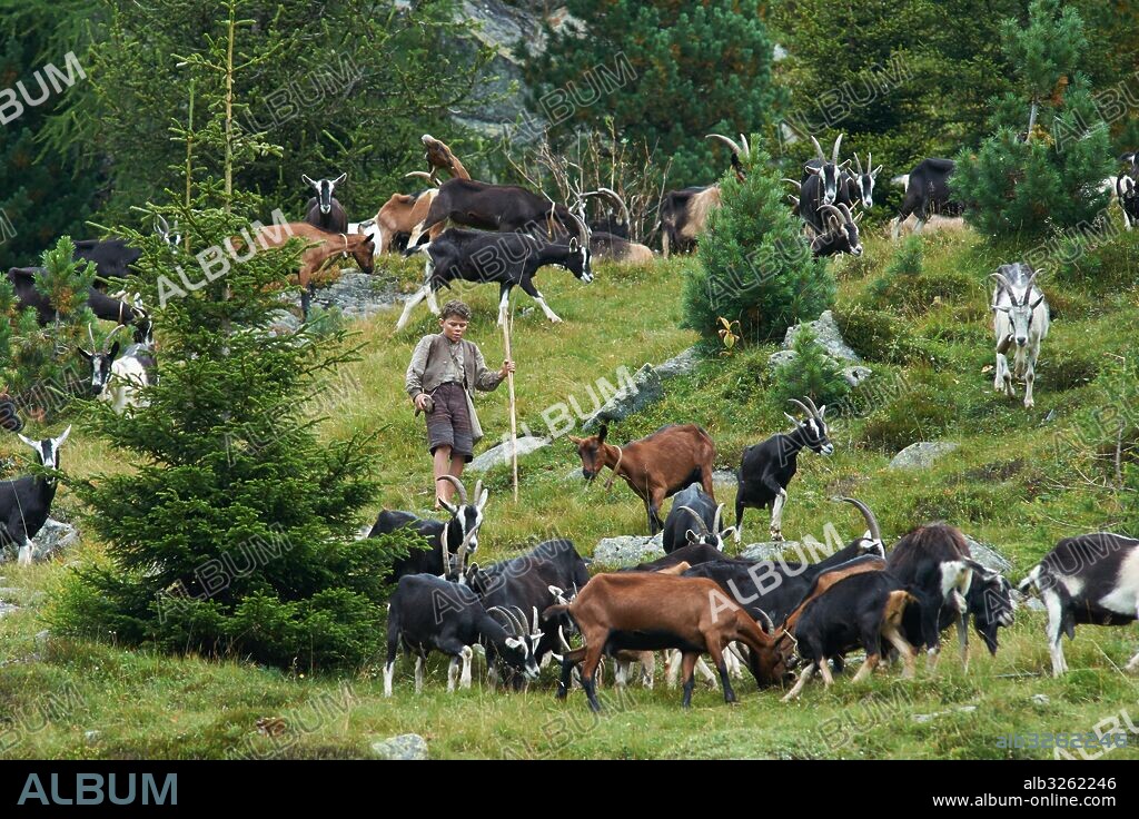 QUIRIN AGRIPPI en HEIDI, 2015, dirigida por ALAIN GSPONER. Copyright CLAUSSEN & WOBKE FILMPRODUKTION GMBH.
