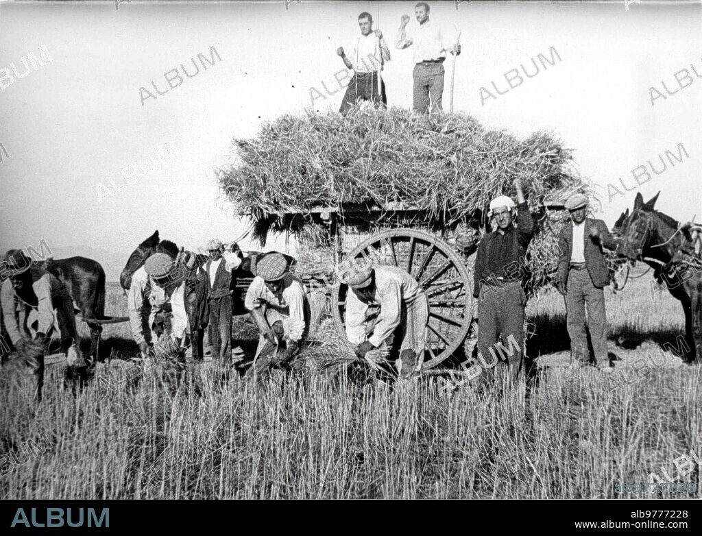 Guadix, agosto de 1936. Guerra Civil Española. Grupo de campesinos de Venta Quemada entregados a sus faenas ordinarias de la siega.