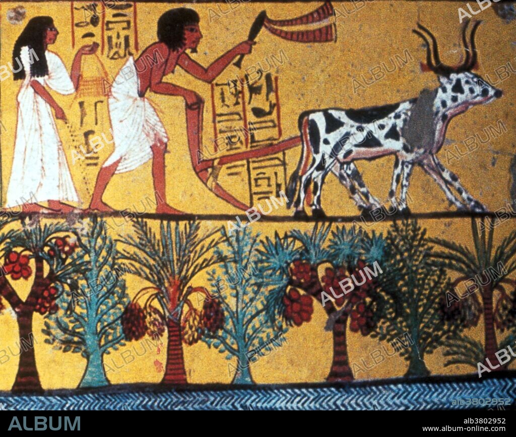 Ancient Egyptian Agriculture, 1200 BC