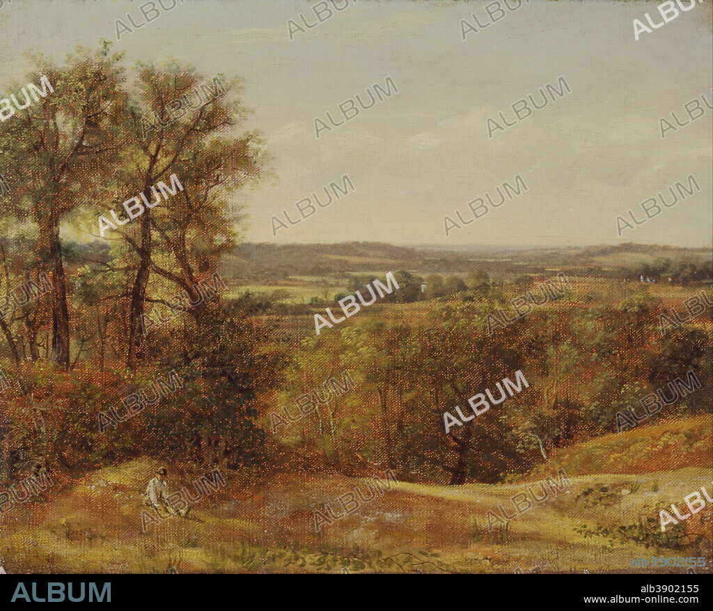 JOHN CONSTABLE. Dedham Vale. Date/Period: 1802. Painting. Oil on canvas. Height: 333 mm (13.11 in); Width: 416 mm (16.37 in).