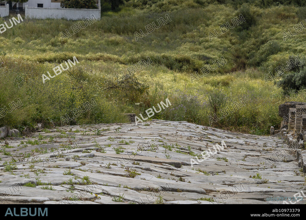Italica, Roman road in Cañada Honda, ancient Roman city, 206 BC., Andalusia, Spain.