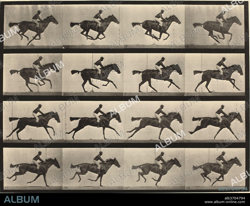 EADWEARD MUYBRIDGE. Animal Locomotion, Plate 626. Dated: 1887. Dimensions: image: 23.7 x 30.6 cm (9 5/16 x 12 1/16 in.)  sheet: 48.3 x 61 cm (19 x 24 in.). Medium: collotype.