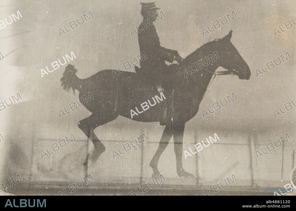 Jules Etienne Marey, French, 18301904, Horse and Rider (Cavalier et Cheval) #1, c. 1888, Gelatin silver print, Overall: 4 7/16 x 7 1/16 in. (11.2 x 18 cm).