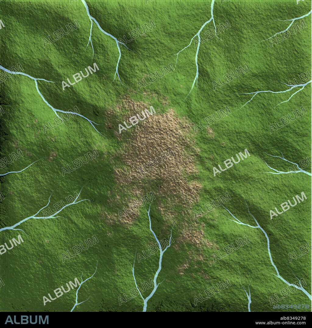 The radial drainage pattern is characteristic of mountains, where watercourses diverge from a peak.
