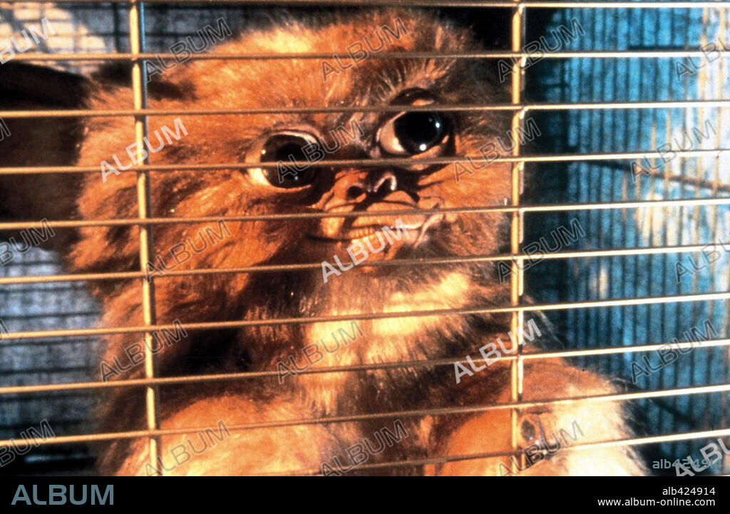 GREMLINS, réalisé par JOE DANTE. Copyright WARNER BROTHERS.