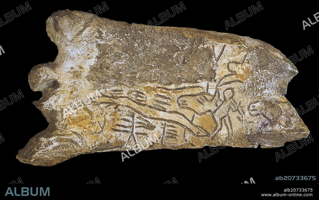 HUESO TALLADO CON CIERVOS Y HOMBRES PROCEDENTE DE LA CUEVA DE LA MADELEINE - PALEOLITICO SUPERIOR 12000 AC.