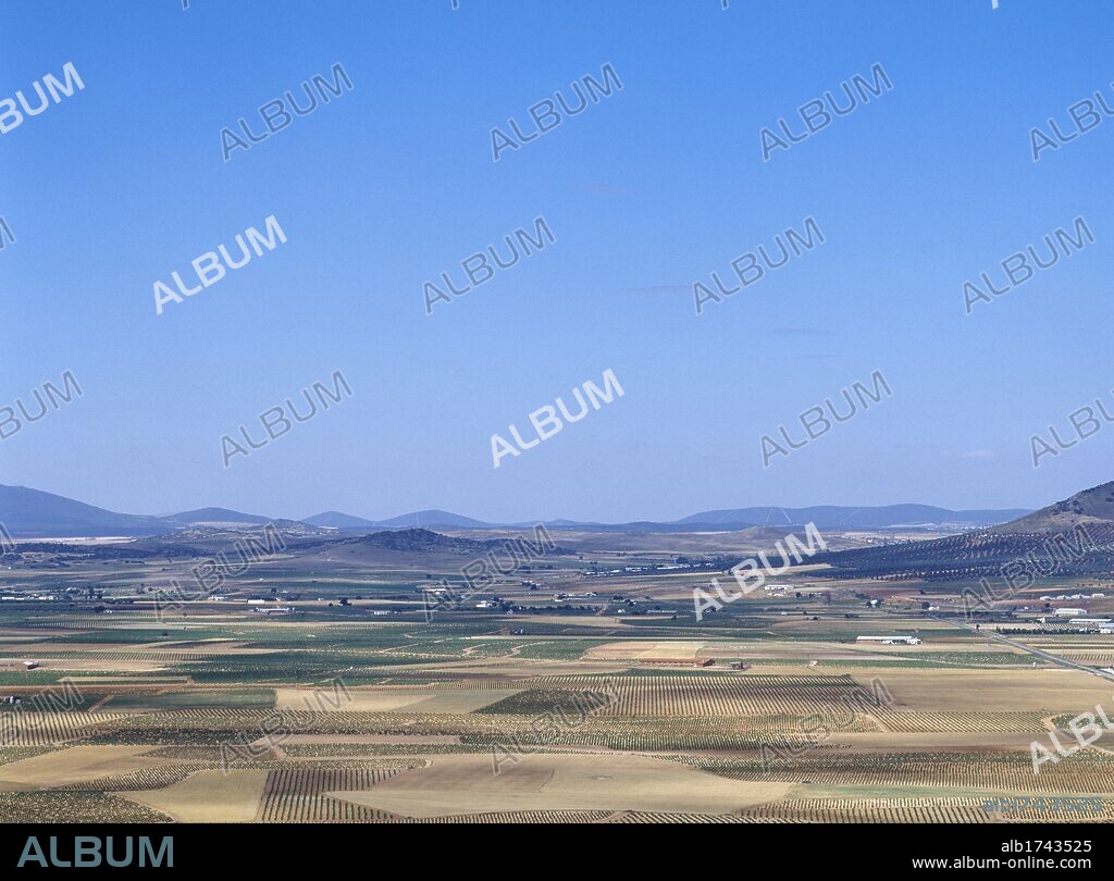 CASTILLA-LA MANCHA. Panorámica del paisaje con parcelas de cultivo que se divisa desde la localidad de CONSUEGRA, extendiendo su llanura hasta los Montes de Toledo por el noroeste. Provincia de Toledo. España.