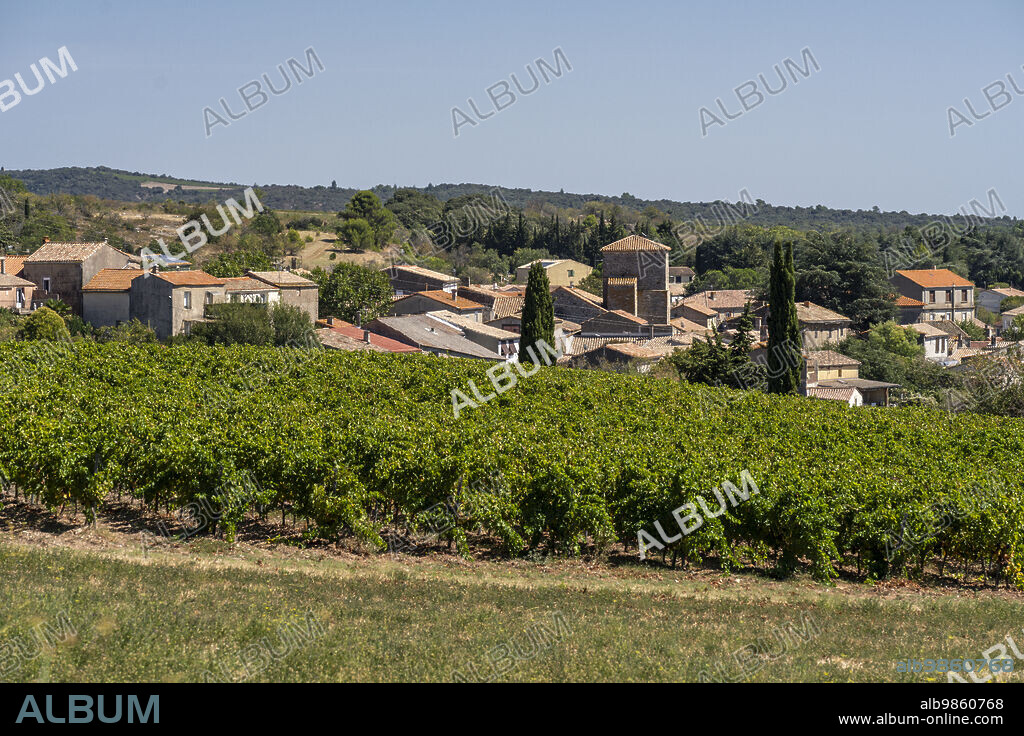 Salsigne, Languedoc-Roussillon, Aude department, French Republic, Europe.