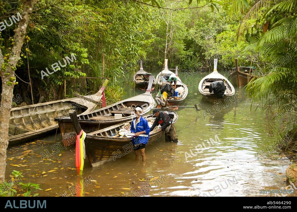 Tha Pom (full name in Thai is Pa Phru Tha Pom Khlong Song Nam) is a peat swamp and forest running mostly from a pool called Chong Phra Kaew along a natural waterway. Local people call this waterway Khlong Song Nam or ‘two types of water canal’, because clear freshwater meets and merges with seawater at high tide, resulting in a natural environment where Lumphi palms (Eleiodoxa conferta) meet and mingle with mangrove forest. Krabi Province is made up of more than 5,000 sq km of jungle-covered hills and sharp, jagged karst outcrops, as well as more than 100km of luxuriant, pristine coastline and around 200 islands in the neighbouring Andaman Sea. About 40 per cent of the provincial population is Muslim, the remainder being predominantly Buddhist. This is a clear indication that Krabi sits astride the invisible dividing line between Buddhist Thailand and the four southern provinces—Satun, Narathiwat, Yala and Pattani—which are predominantly Muslim. Far from causing any sort of problem, this adds immensely to the cultural width and diversity of the province, blending mosques with temples, Malay cooking traditions with Thai cuisine, and giving the province a pleasantly relaxed multi-cultural feel.