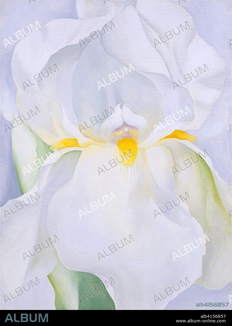 Georgia O'Keeffe (Sun Prairie, 1887-Santa Fe, 1986). White Iris No. 7 (1957). Oil on canvas. 102 x 76.2 cm.
