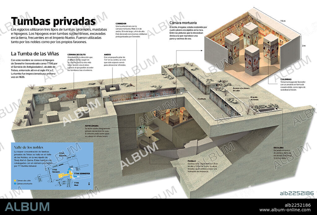 Tumbas privadas. Infografía sobre la Tumba de las Viñas, el hipogeo de Sennefer -alcalde de Tebas enterrado allí en el siglo XV a.C.-.