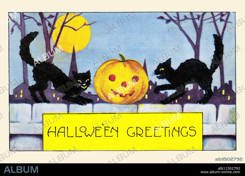 UNKNOWN. A Halloween postcard showing two fighting cats and a jack-o-lantern on a moonlit night.
