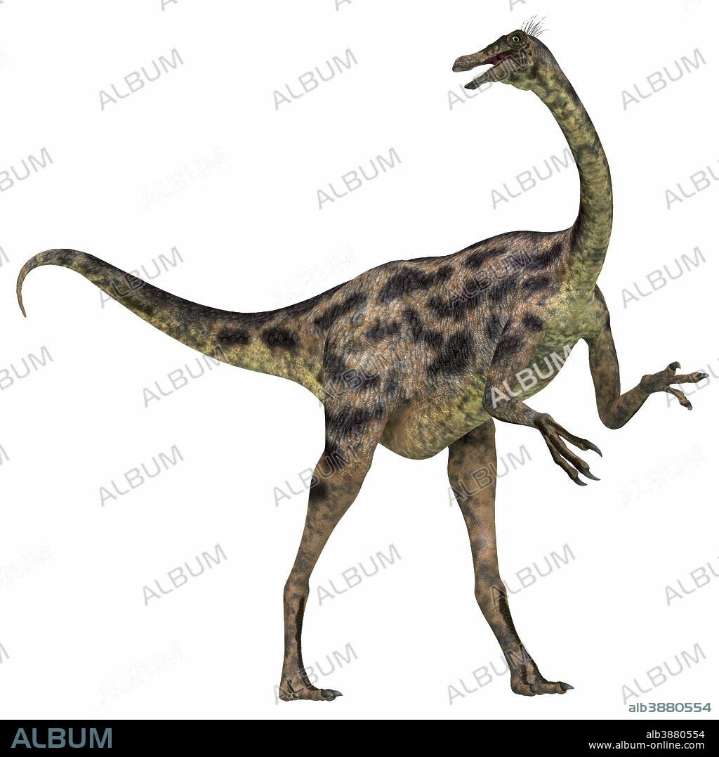Gallimimus was an omnivorous dinosaur that lived in Mongolia during the Cretaceous Period.