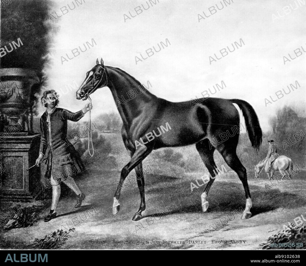 The Darley Arabian. This horse was foaled in 1700; he was about 20 years younger than Byerley's. He was bought by Thomas Darley in Aleppo in 1704, who sent him to his brother Richard at Aldby, Yorkshire. He stood there until 1730, latterly the property of John Brewster Darley. One of his sons was Bulle Rock, the first thoroughbred to go to America. Others were the two Childers, one of the first great thoroughbred racehorses, the other the progenitor, by Eclipse, of most of today's thoroughbreds (see pp. 78-80). Thoroughbred racehorses are descended from Arab stallions. The History of Horse Racing by Roger Longrigg, page 59.