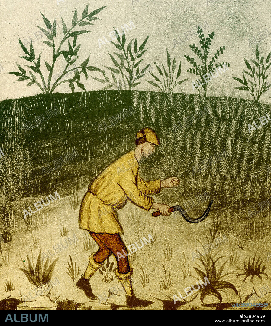 An illustration of agricultural practices in the 1400s.