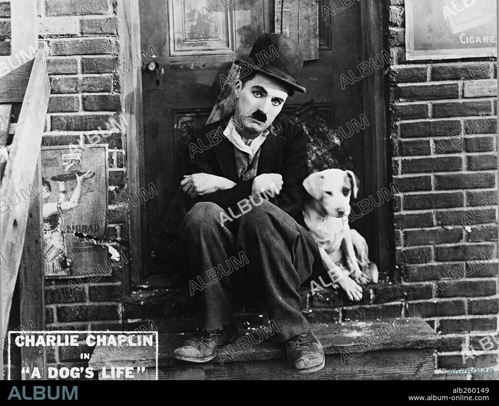 CHARLIE CHAPLIN en VIDA DE PERRO, 1918 (A DOG'S LIFE), dirigida por CHARLES CHAPLIN. Copyright FIRST NATIONAL.