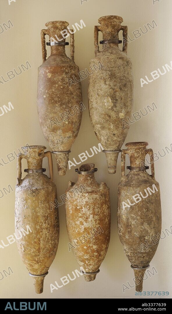 Era Romana. Anforas vinarias de producción tarraconense Dressel 2-4. Proceden de los pecios de Berà i de Els Carbuncles. Siglo I d. C. Museo Arqueológico Nacional. Tarragona, Cataluña, España. Roman era. Amphoras of wine. Manufactured in Tarragona area. Type: Dressel 2-4. From Bera and Els Carbuncles. 1st century AD. Spain. National Archaeological Museum. Tarragona. Catalonia, Spain.