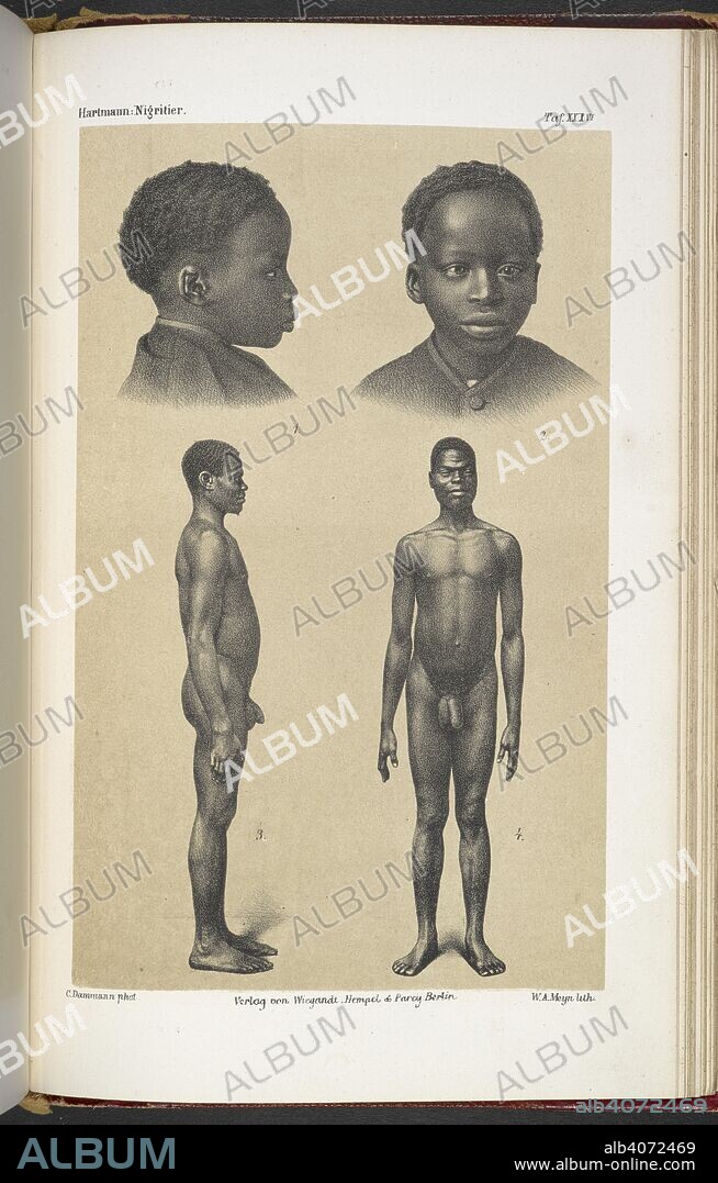 Photographs of  a young boy, and a naked man. Die Nigritier. Eine anthropologisch-ethnologische Monographie, etc. Berlin, Leipzig [printed], 1876, etc. Source: 10006.g.4, plate XXXVI. Language: German.