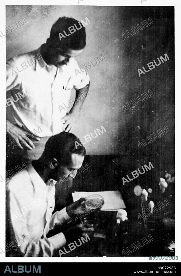 Max Delbruck and Salvador Luria at Cold Spring Harbor Laboratory 1941. Salvador Edward Luria (1912 1991) Italian genetics researcher and microbiologist, later a naturalized American citizen. He won the Nobel Prize in Physiology or Medicine in 1969.