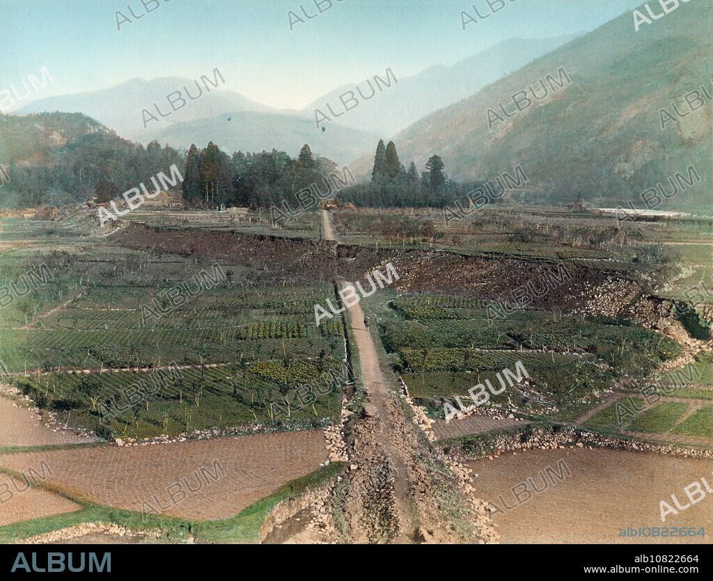 [ 1890s Japan - Nobi Earthquake Fault Line ] The Neodani Fault () scarp in Motosu City () in Gifu Prefecture after the Nobi Earthquake (, Nobi Jishin) of October 28, 1891 (Meiji 24). The Nobi Earthquake measured between 8.0 and 8.4 on the scale of Richter and caused 7,273 deaths, 17,175 casualties and the destruction of 142,177 homes. It is the largest recorded quake in inland Japan. It jumpstarted the study of seismology in Japan and proved that earthquakes are caused by fault lines. 19th century vintage albumen photograph.