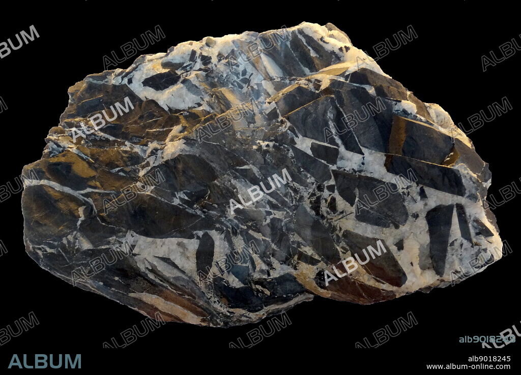 Fault breccia or tectonic breccia, is a breccia (a rock type consisting of angular clasts) that was formed by tectonic forces. Fault breccia is a tectonite formed by localized zone of brittle deformation (a fault zone) in a rock.