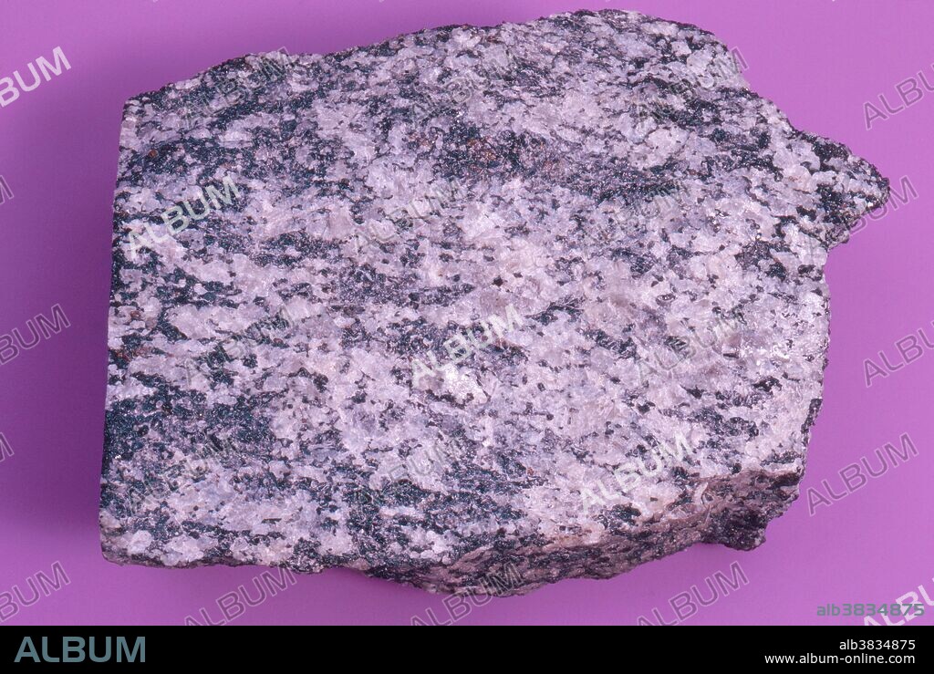 Hornblende gneiss, a metamorphic rock from Clintonville, New York.