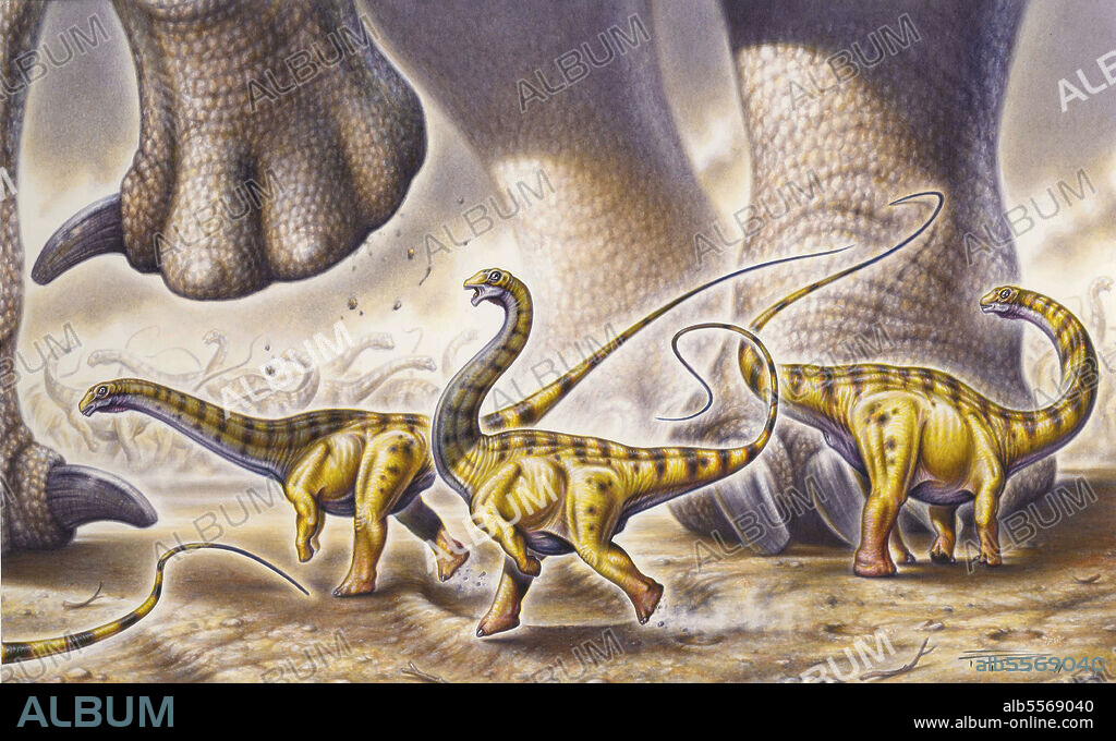 Juvenile Apatosaurus ajax dinosaurs running by the powerful legs of an adult Apatosaurus. Acrylic painting by brush.