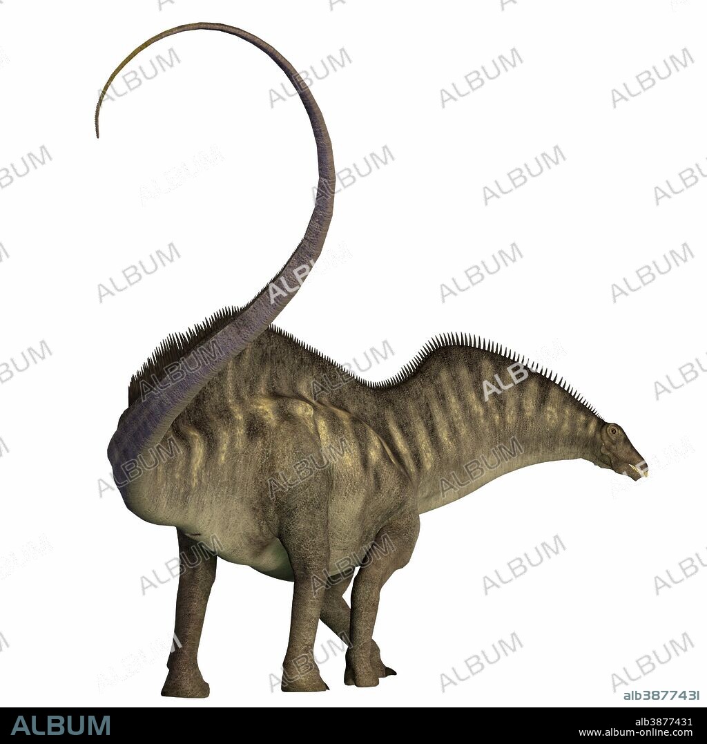 Amargasaurus dinosaur. Amargasaurus was a herbivorous sauropod that lived in Argentina during the Cretaceous Period.