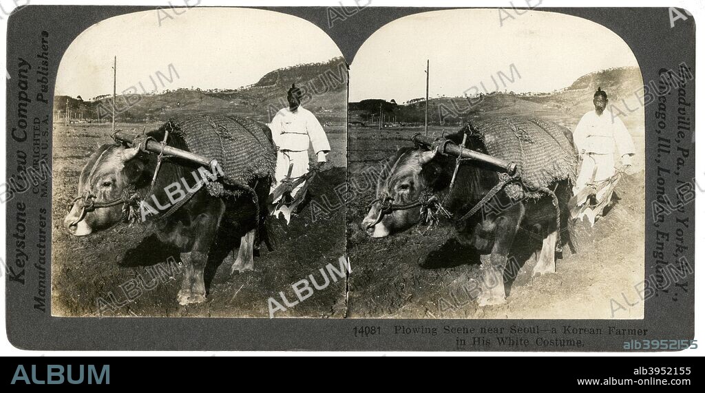 Farming near Seoul, South Korea, 1900s. Stereoscopic slide.