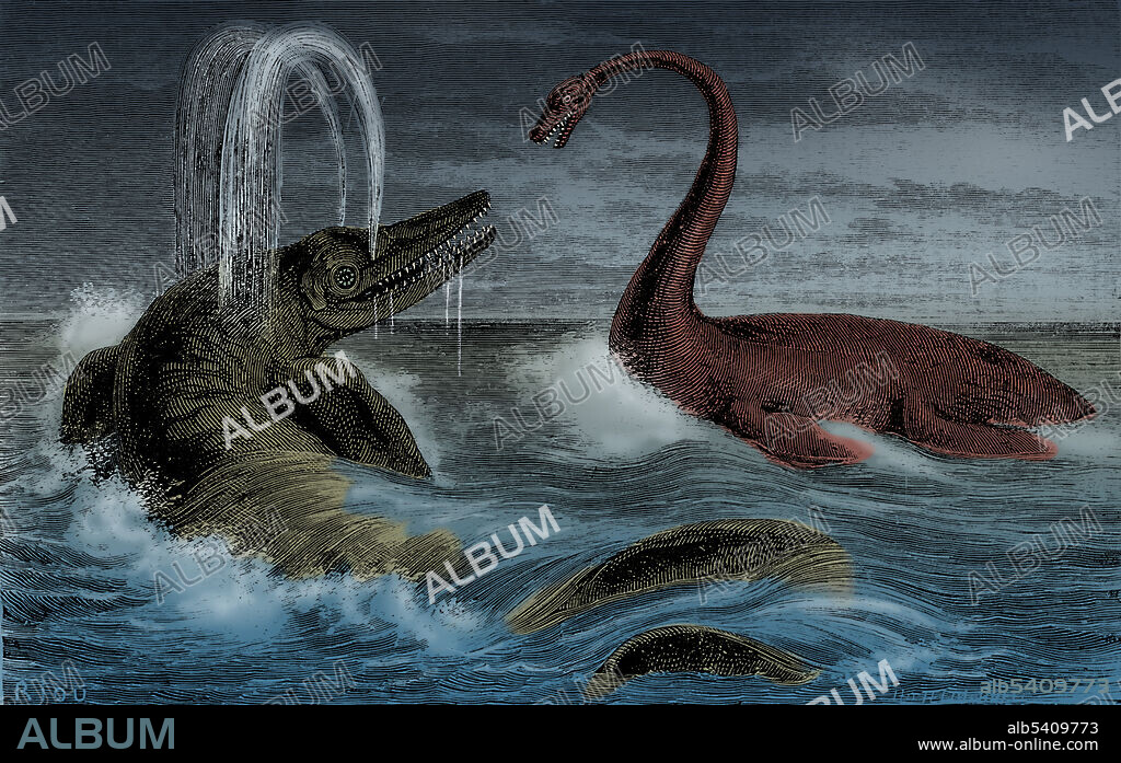 Ichthyosaurus and Plesiosaurus