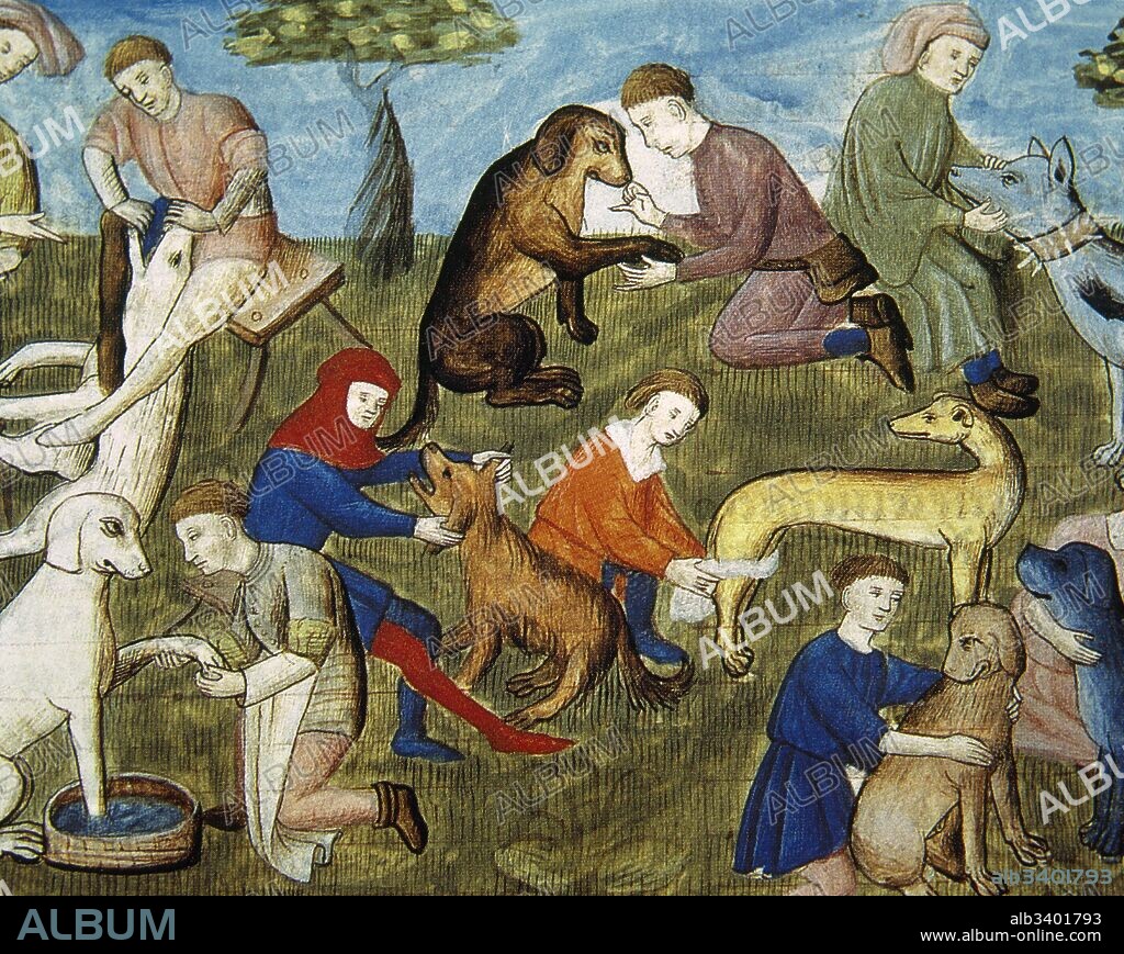 Livre de chasse (Book of the Hunt), 1387-1389 by Gaston III, Count fo Foix (1331-1391) Dedicated to Philip the Bold, Duke of Burgundy. The care of hunting dogs. Miniature. Conde Museum. Chantilly. France.