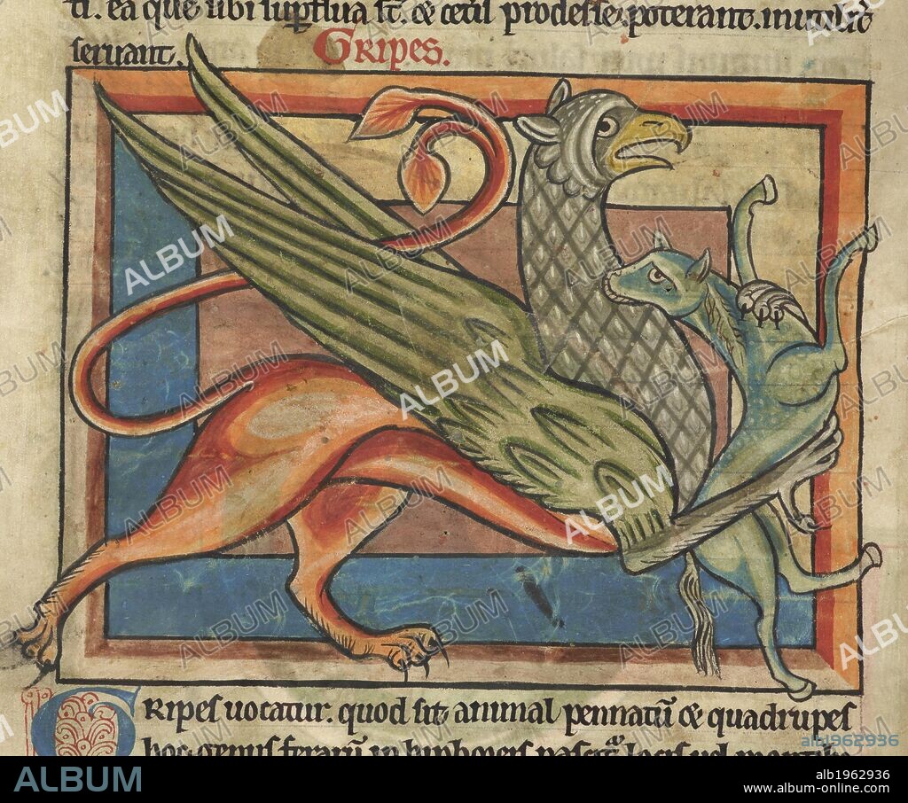 Griffin carries its prey. Bestiary. England (Salisbury?); 1230-1240. (Miniature) A griffin, a quadruped with the hindquarters of a lion and head and wings of an eagle, carrying a live victim in its claws.  Image taken from Bestiary.  Originally published/produced in England (Salisbury?); 1230-1240. . Source: Harley 4751, f.7v. Language: Latin.