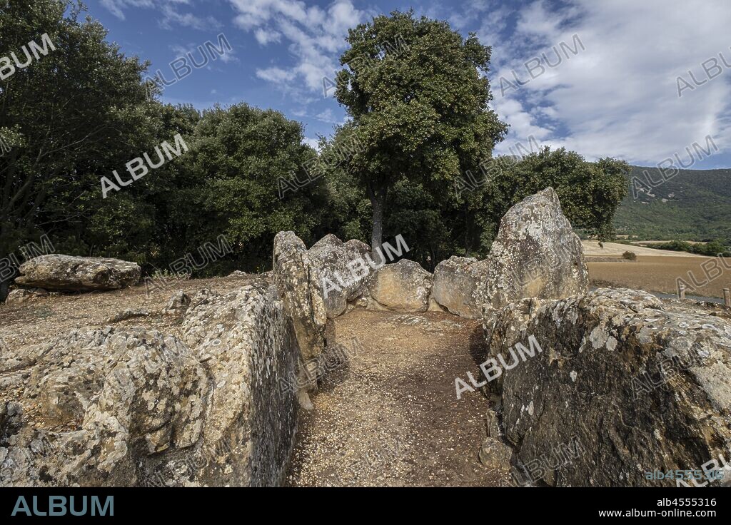 Dolmen de Los Llanos, Neolítico, Kripan, Alava, País Vasco, Spain.