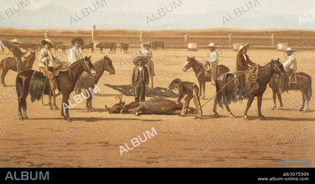 HISTORIA DE MEXICO. SIGLO XIX. ESTADO DE SAN LUIS DE POTOSI. "EL HERRADERO". Marcado del ganado bovino, destinado a la producción de leche y carne, en una hacienda de este estado. Litografia del año 1880.