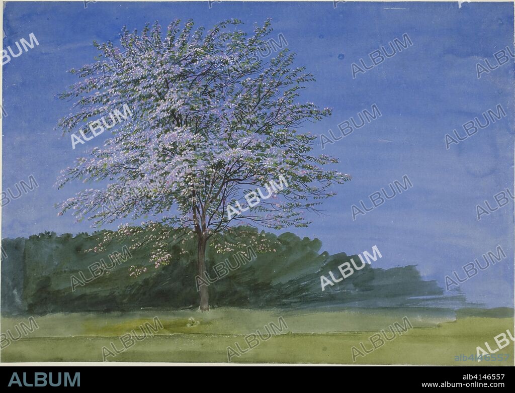 Study of a Tree in Bloom. William Turner; English, 1789-1862. Date: 1830-1840. Dimensions: 266 × 376 mm. Watercolor and gouache on ivory wove paper. Origin: England.
