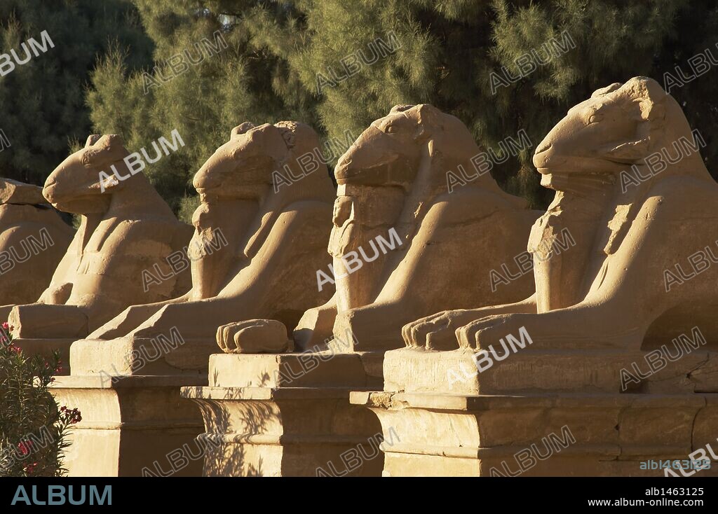 ARTE EGIPCIO. EGIPTO. TEMPLO DE KARNAK. AVENIDA DE LAS ESFINGES, con cabeza de CARNERO (símbolo del dios AMON). Construída durante el reinado de Ramses II. Dinastía XIX. Imperio Nuevo. Alrededores de Luxor (antigua Tebas "Waset").