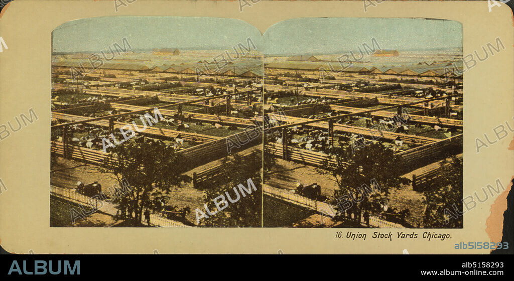 Union Stock Yards [stockyards], Chicago., still image, Stereographs, 1850 - 1930.