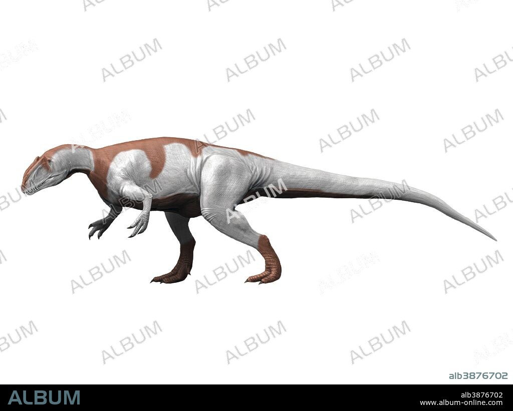 Yangchuanosaurus is a theropod from the Late Jurassic period.