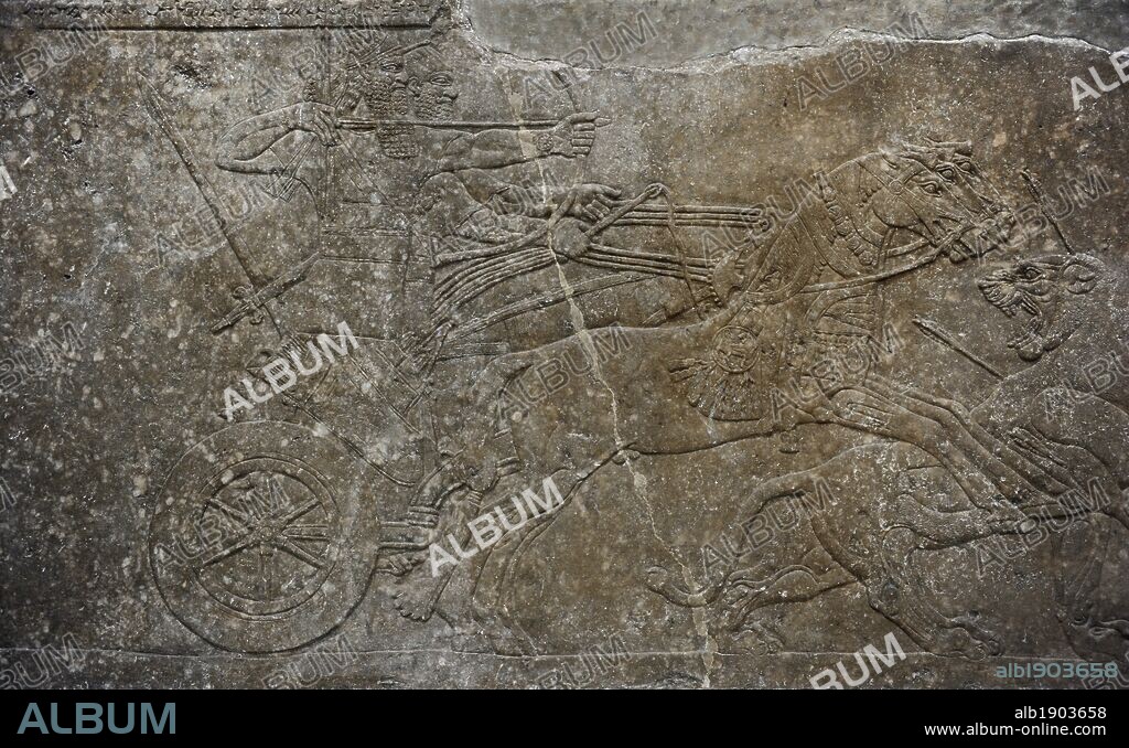 ARTE MESOPOTAMICIO. IMPERIO ASIRIO. NEOASIRIO. Relieves del PALACIO DE ASURNASIRPAL II o PALACIO DEL NOROESTE, en la ciudad de NIMRUD (actual Irak). Alabastro. Fechado hacia el 883-859 a. C. Representación de la cacería de un león. Museo de Pérgamo (Isla de los Museos). Berlín. Alemania.