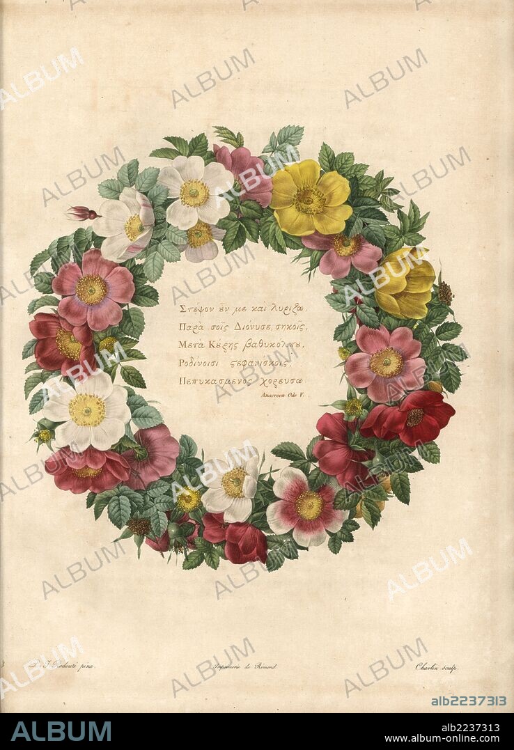 Decorative wreath of roses with Greek motto. Handcoloured stipple copperplate engraving by Charlin after an illustration by Pierre-Joseph Redoute from "Les Roses," Firmin Didot, Paris, 1817.