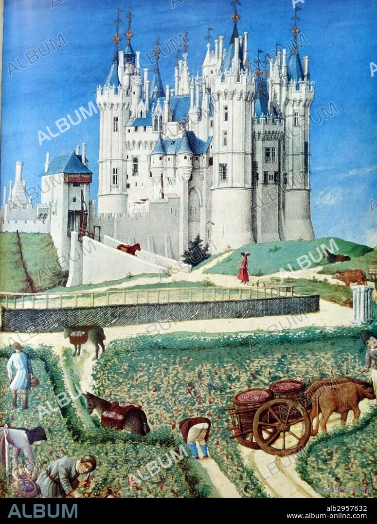 Illumination titled 'Château de Saumur' from the Très Riches Heures du Duc de Berry depicting the harvest. Five characters pick grapes while a man and a woman, apparently pregnant, rest. Clusters are deposited in baskets which are then emptied into baskets attached to mules. These hoods are themselves dumped in tanks loaded on carts pulled by oxen. The second plane is fully occupied by the castle of Saumur in the Anjou region already wine at the time. The towers are topped with weather vanes to lilies. At its surroundings, a contention is represented with its central bar and wall trellis. painted by the Limbourg Brothers, Herman Limbourg, Paul Limbourg and Johan Limbourg, famous Dutch miniature painters from the city of Nijmegen. Dated 15th Century.